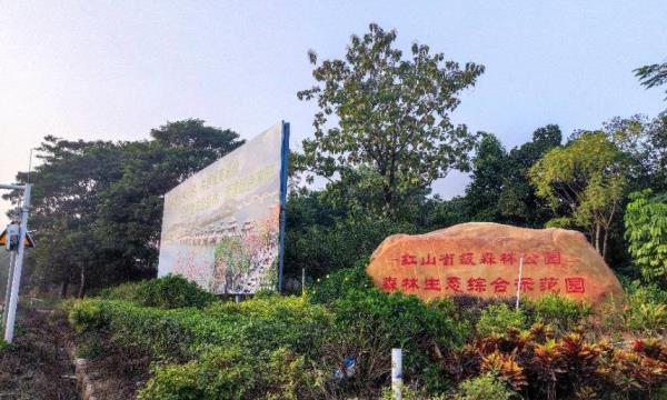 红山森林公园
