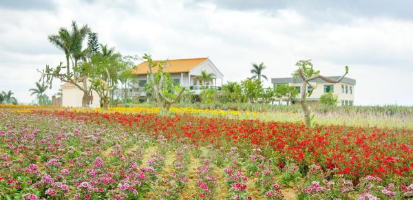 瑷露德玛芦荟庄园