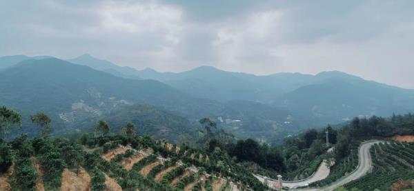 凤凰山乌岽顶