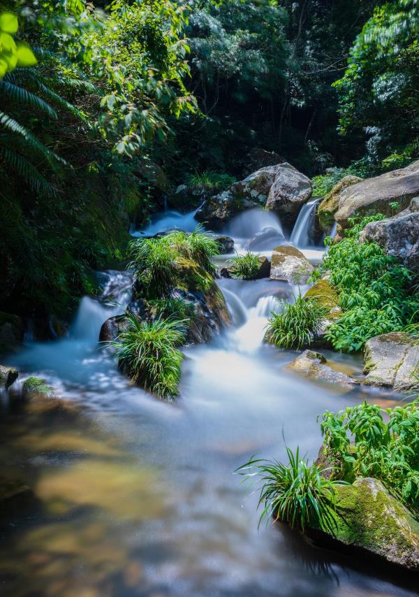 龙王潭生态旅游区