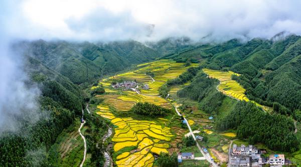 黑山梯田