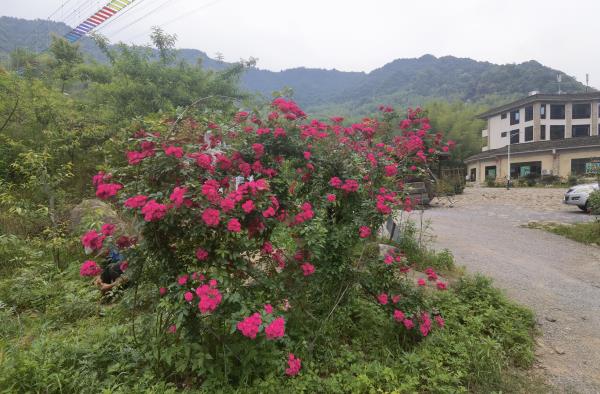 燕子岩风景区