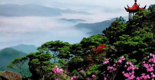 阳明山国家森林公园