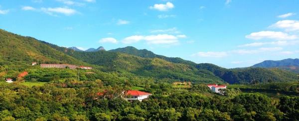 雁南飞茶田景区