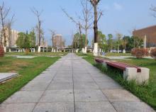 中央绿地公园2
