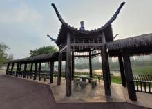 龙景湖公园3
