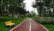 云树公园4