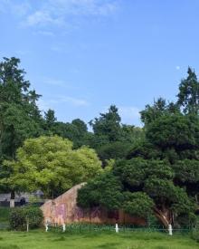 同景公园4