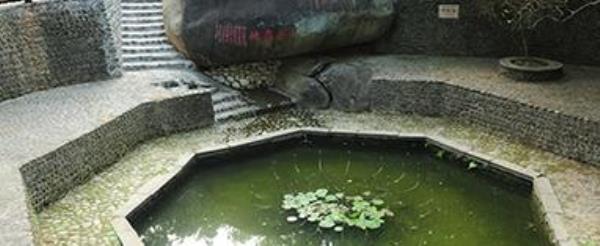 洗药池