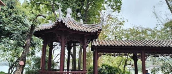 芳华洲