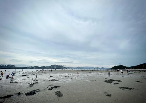 巽寮赶海公园