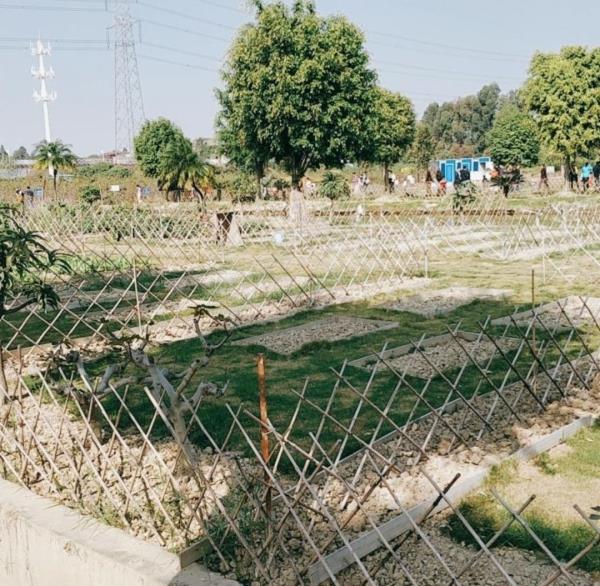 顺凯农场