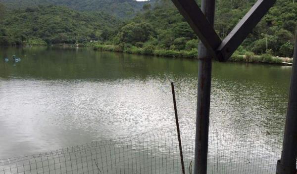 塘厦镇农场