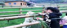 五谷地度假农场1