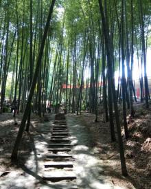 滚子坪风景区8