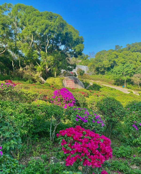 梅海岭