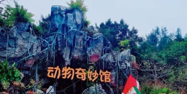 动物奇妙馆