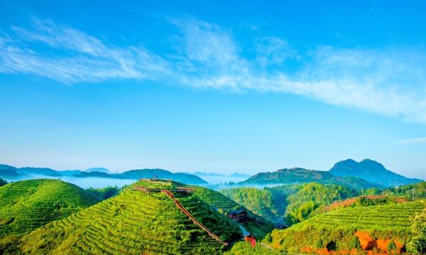 大仙峰·茶美人景区