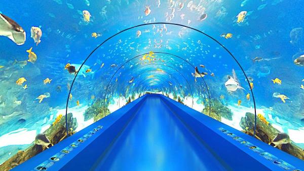 九丰极地海洋世界