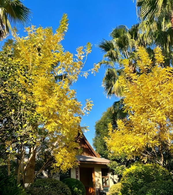 萨瓦迪卡温泉度假村