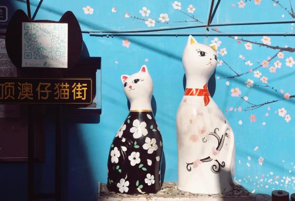 顶澳仔猫街