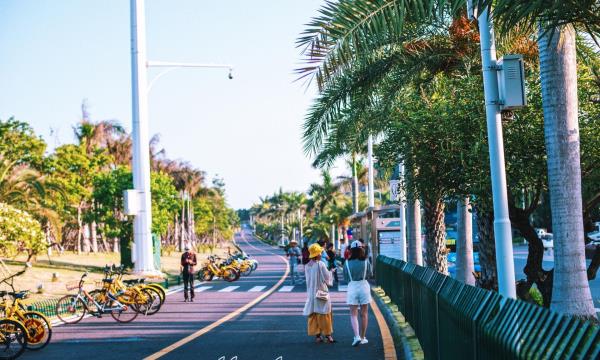 环岛路