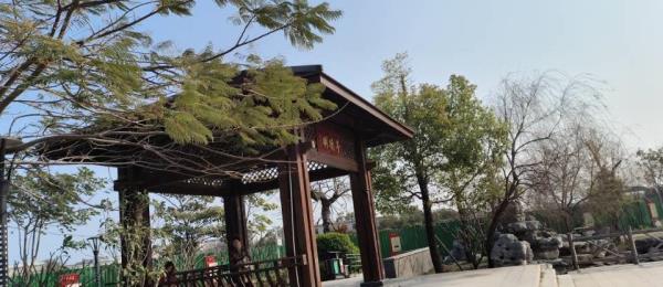 德居里公园