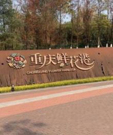 重庆鲜花港公园3