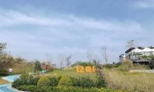 重庆鲜花港公园2