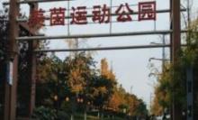 美茵运动公园4