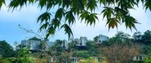 石里红枫乡村旅游度假区4
