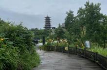 青山湖国家湿地公园1