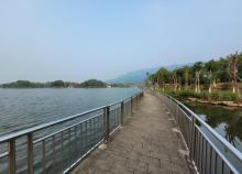湖滨公园2