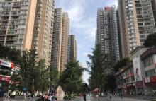 松青路步行街2