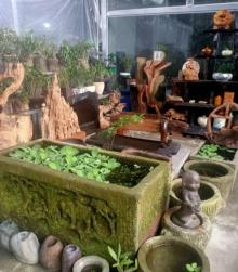 茂林花卉园(大山村轻轨站店)2