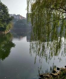 双龙湖公园1