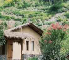 懒懒山谷露营营地1