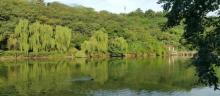 天湖公园5