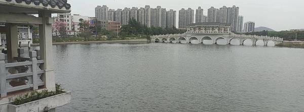 凤岗妈湿地公园