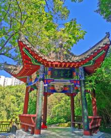 山谷公园8
