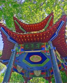 山谷公园7