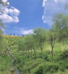 竹溪河草地公园5