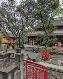 凤凰山文化公园8