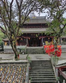 凤凰山文化公园9