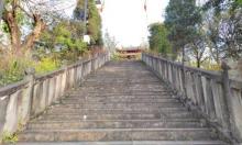 凤凰山文化公园1