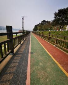 巴滨路湿地公园4