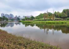 海棠湖公园1