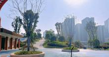 木桃路社区公园1