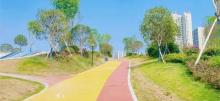 木桃路社区公园6
