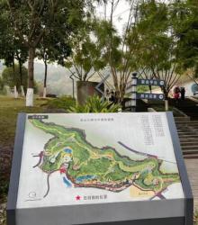 金山公园2